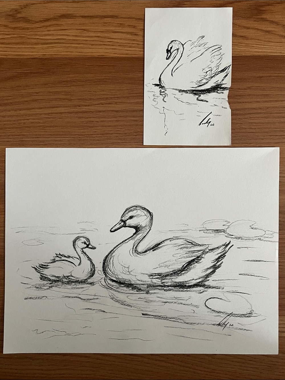 Original Swan Sketch Art Drawing - Black and White
